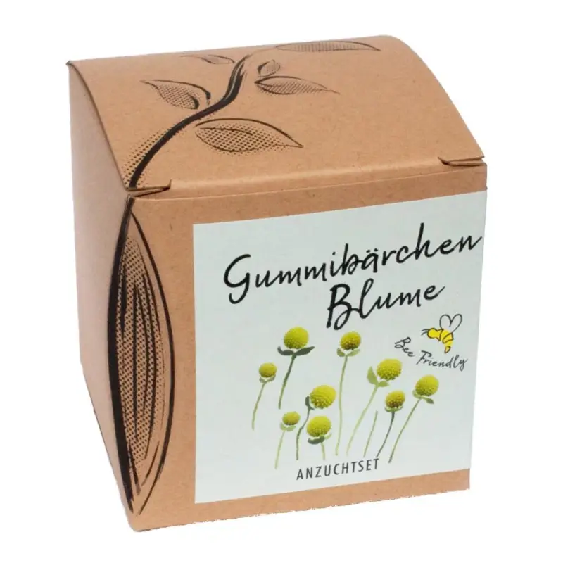 Direktkauf Anzuchtset Gummibärchenblume, Saatgut und Anzuchterde inklusive