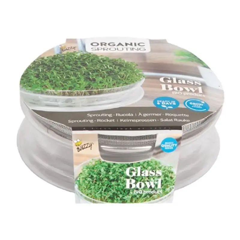 Gemüsesamen, BIO-Sprossengemüse Rukola Sonderangebot