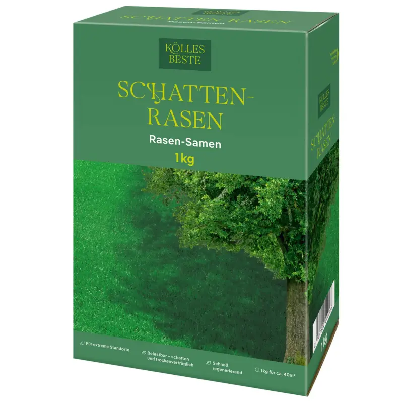 Kölles Beste Schattenrasen mit Lägerrispe Poa supina, 1 kg Echt