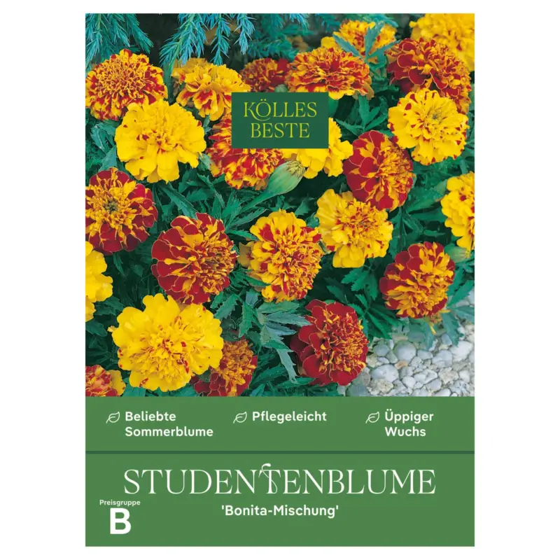Kölles Beste Blumensamen, Studentenblume 'Bonita Mischung' Günstig