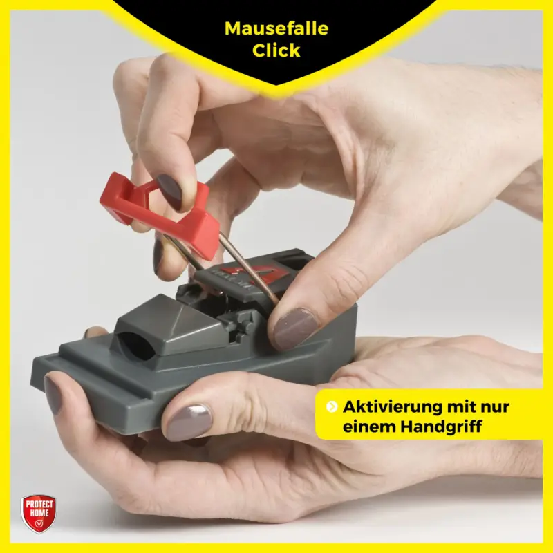 Sichere Zahlung Mausefalle Click, Protect Home, 3 Stück