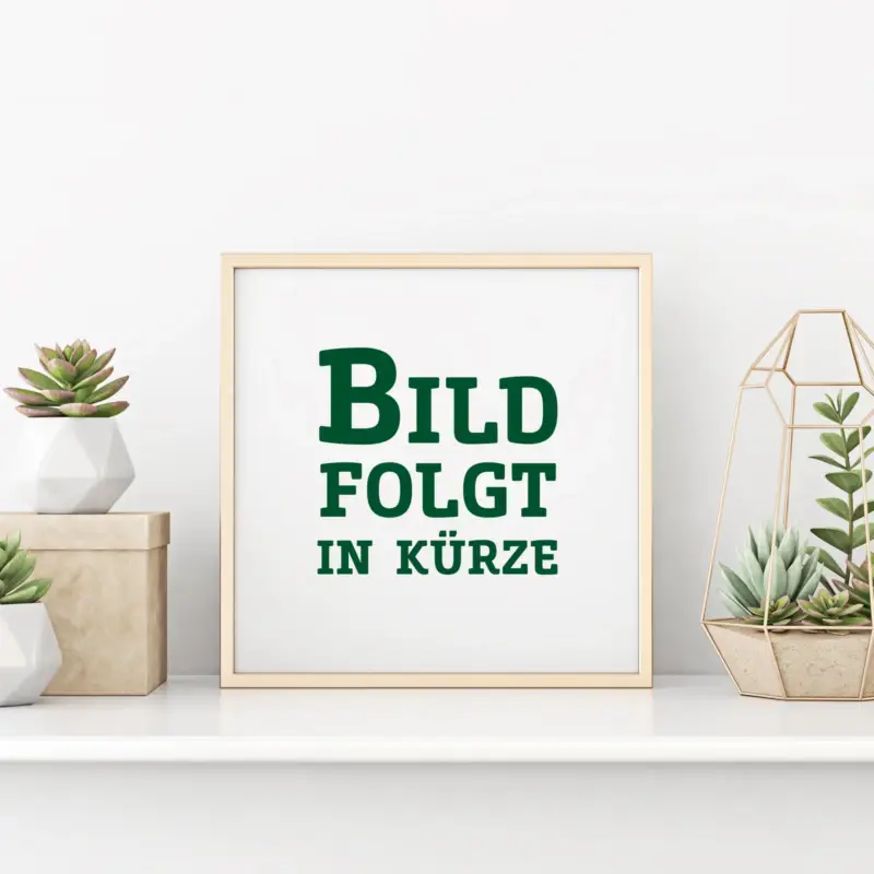 Zertifiziert Heidelbeere 'Duke', frühreifend, Topf 5 Liter, 4er-Set