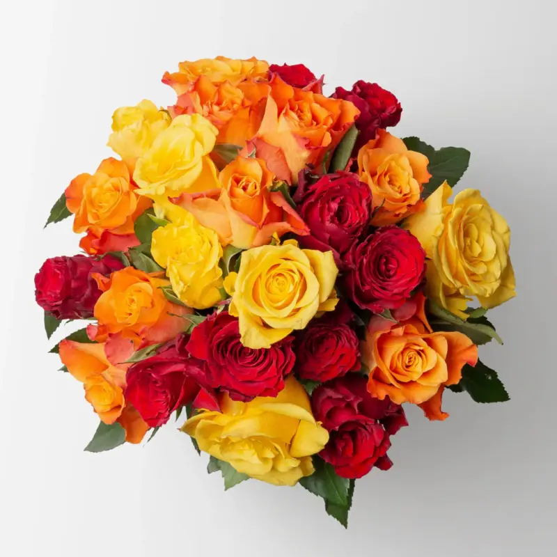 Garantierte Lieferung 25 Rosen, rot & gelb