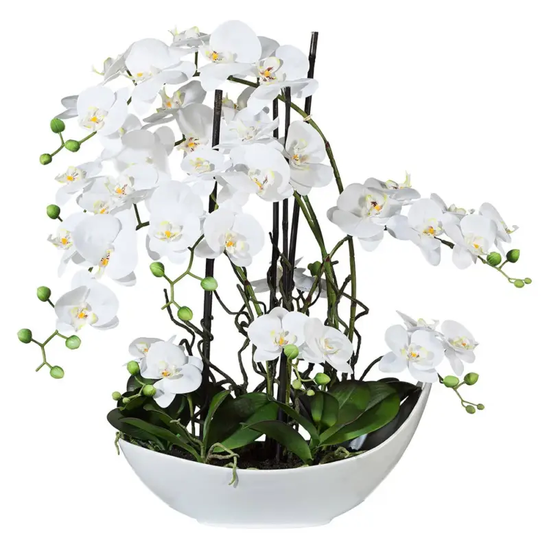 Kunstpflanze Orchideen-Arrangement, weiß, Höhe ca. 68 cm Garantierte Lieferung