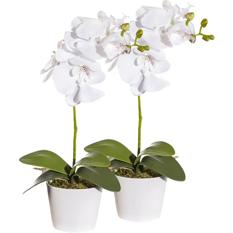 Kunstblume Orchidee im Topf, weiß, Höhe ca. 40 cm, 2 Stück Markenprodukt