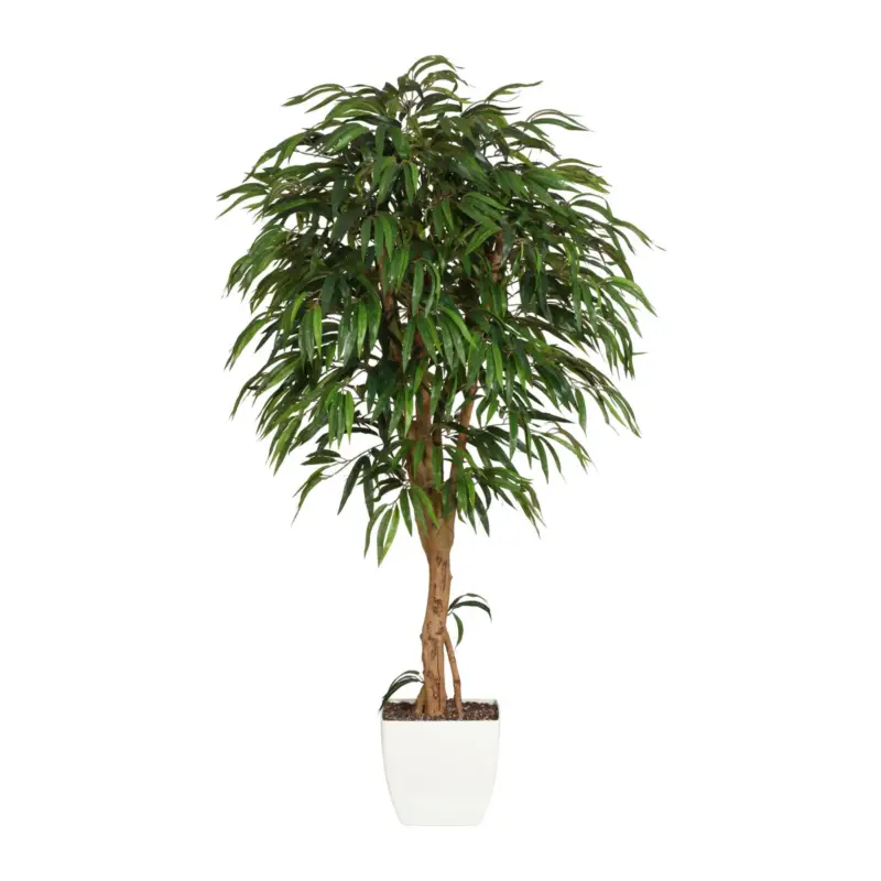 Kunstpflanze Weeping Ficus, Höhe ca. 180 cm Aktuell