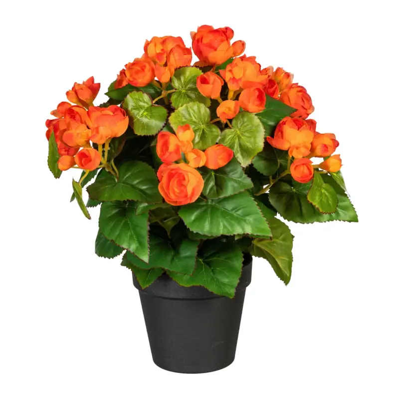 Schneller Versand Künstlicher Begonienbusch, orange, Höhe ca. 35 cm