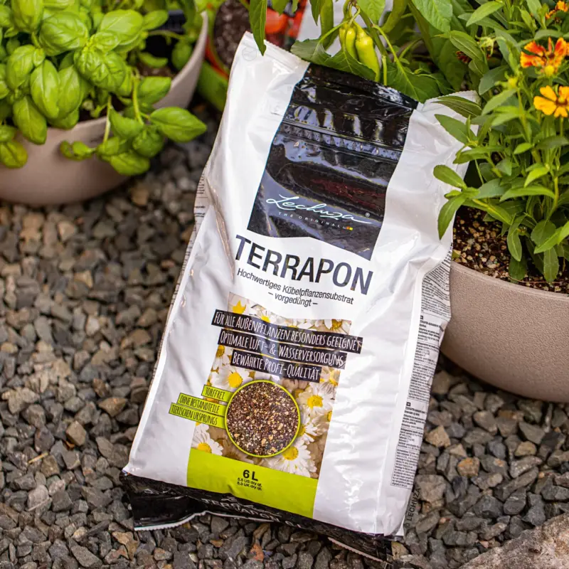Jetzt Kaufen Lechuza Terrapon Pflanzsubstrat, 6 Liter
