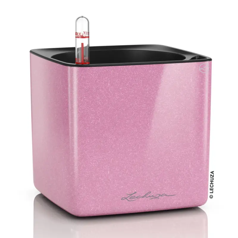 Lechuza 'Cube Glossy Kiss 14', Sweet Candy Highgloss Glitter Nur Heute