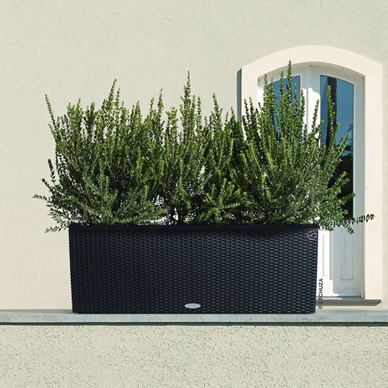 Lechuza 'Trio Cottage 30', granit, ca. 100 x 32,5 x H 34,5 cm Letzte Chance