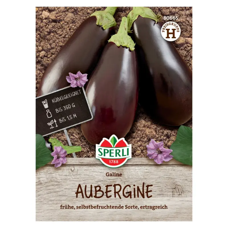 Letzte Chance Saatgut Aubergine 'Galine'