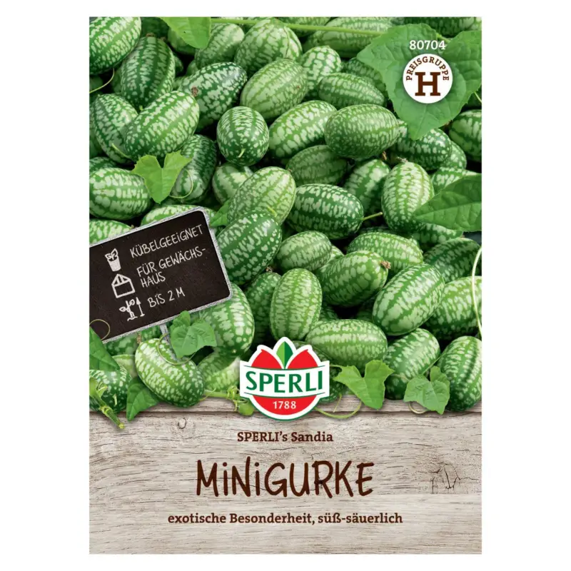 Direktkauf Saatgut Minigurke 'Sandia'