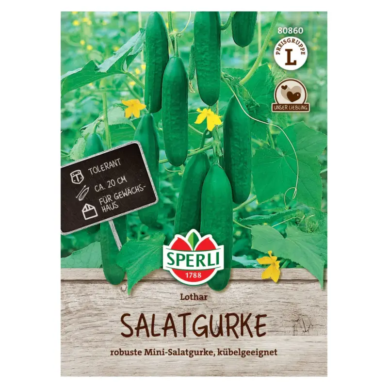 Saatgut Salatgurke 'Lothar' Super-Preis