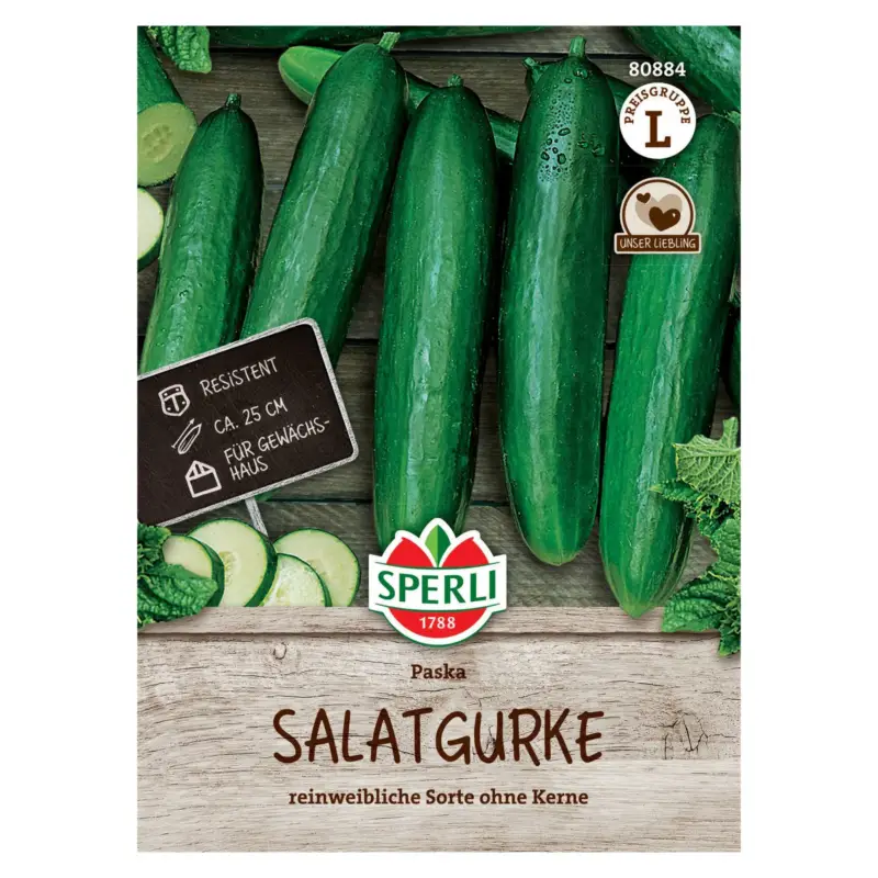 Saatgut Salatgurke 'Paska' Bestpreis