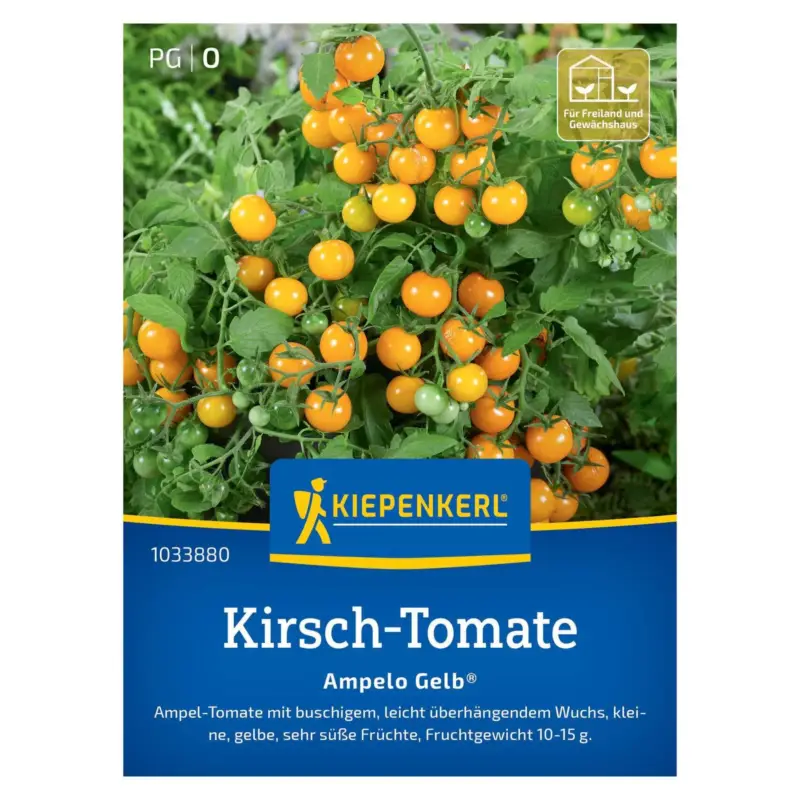Bestpreis Saatgut Kirschtomate 'Ampelo Gelb'