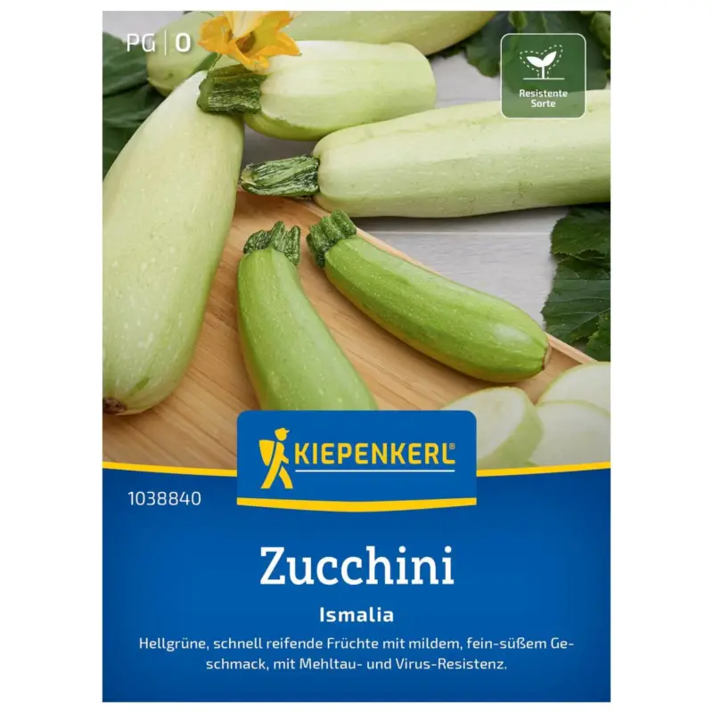 Sichere Zahlung Saatgut Zucchini 'Ismalia'