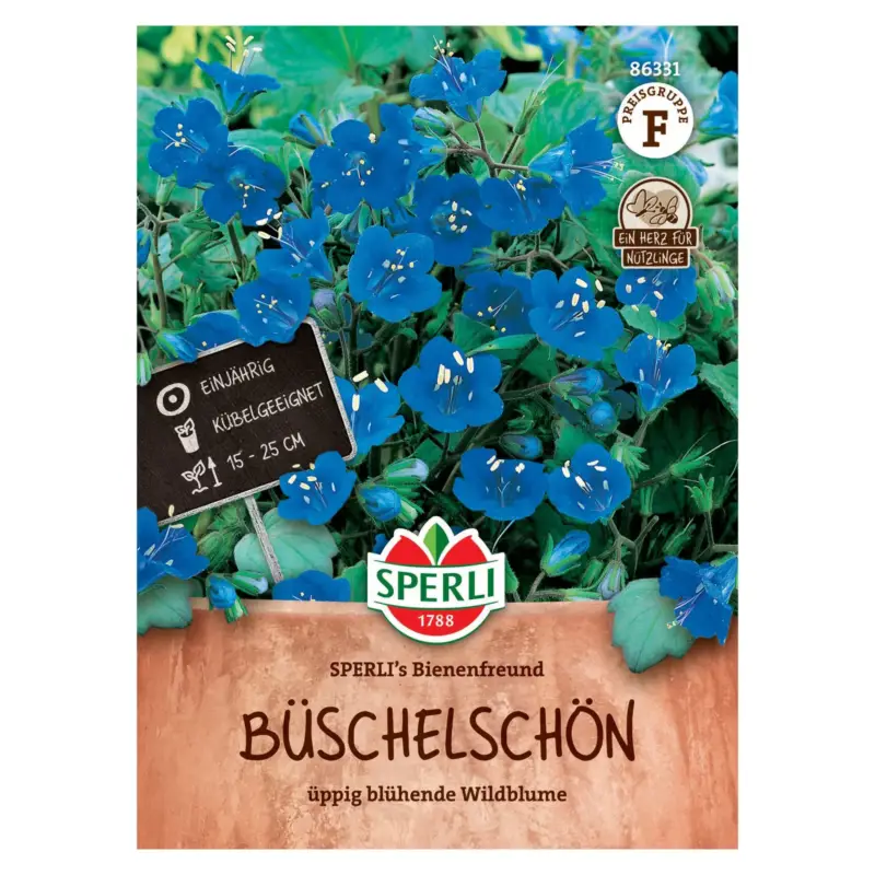 Preisknaller Saatgut Büschelschön 'Sperli’s Bienenfreund'