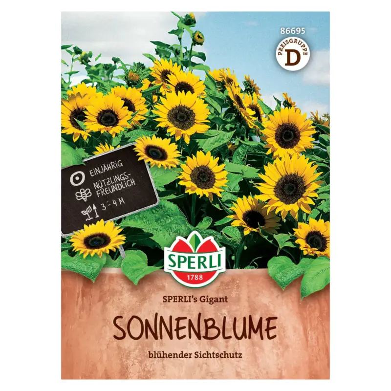 Saatgut Sonnenblume 'Sperli’s Gigant' Nur Für Kurze Zeit