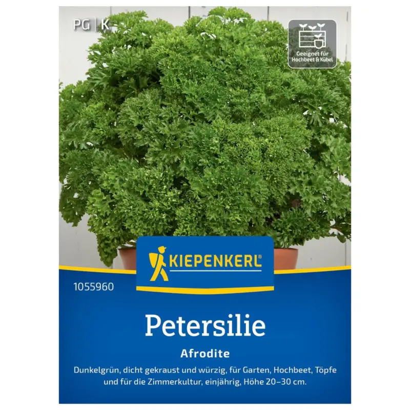 Saatgut Petersilie 'Afrodite' Günstig