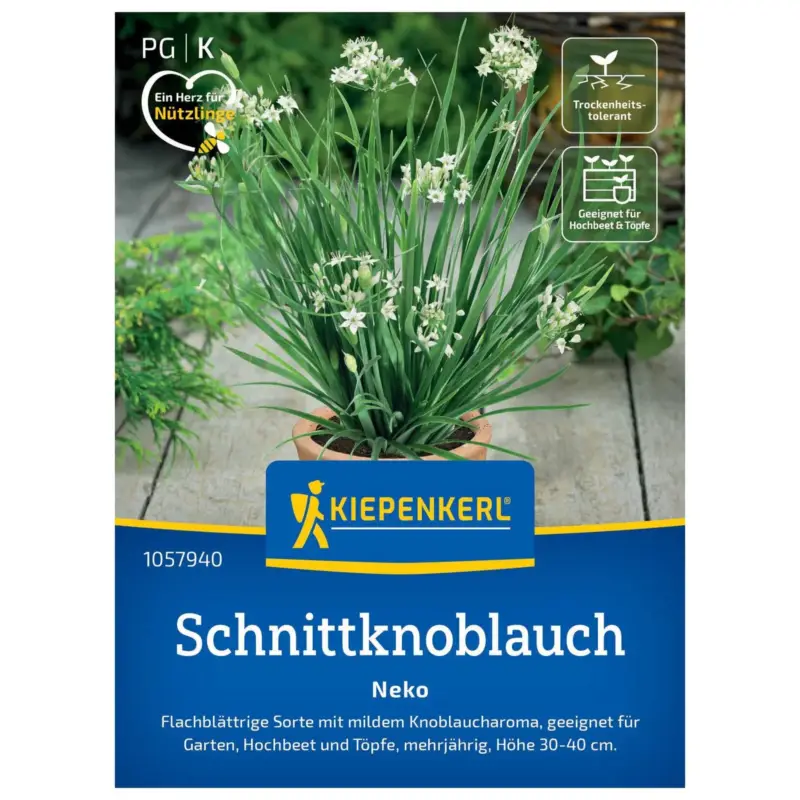Saatgut Schnittknoblauch 'Neko' Sonderaktion