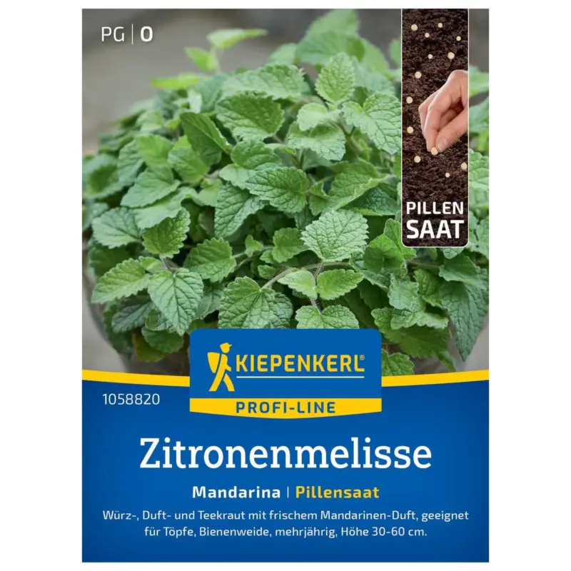 Saatgut Zitronenmelisse 'Mandarina' Mega-Angebot