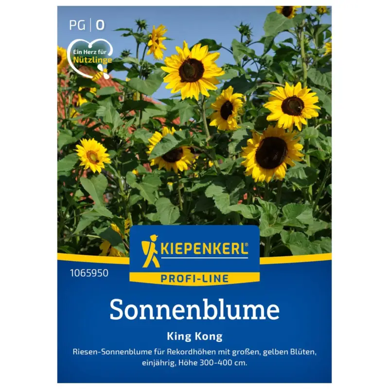 Saatgut Sonnenblume 'King Kong' Wochenendangebot
