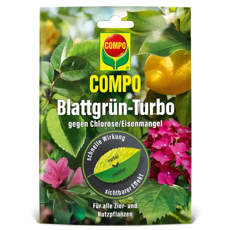 Saisonangebot Compo Blattgrün-Turbo, 20 g