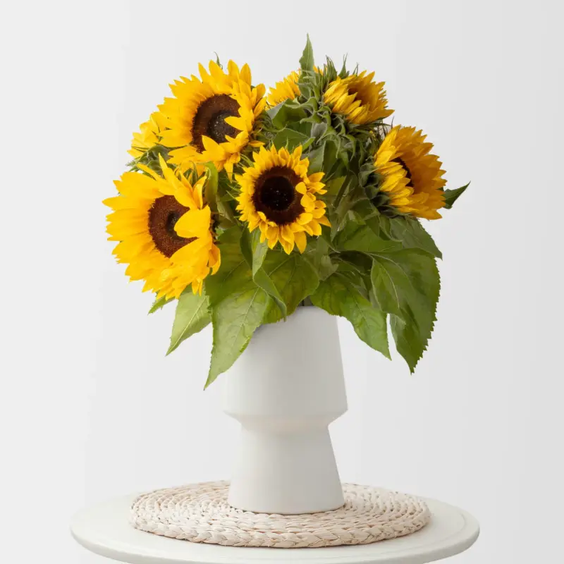 Begrenztes Angebot 10 Sonnenblumen