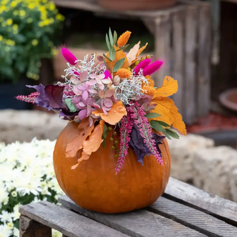 Online Kreativ-Kurs "Kürbisblüte", 08.10.2026, 18:00 - 19:00 Uhr Letzte Chance