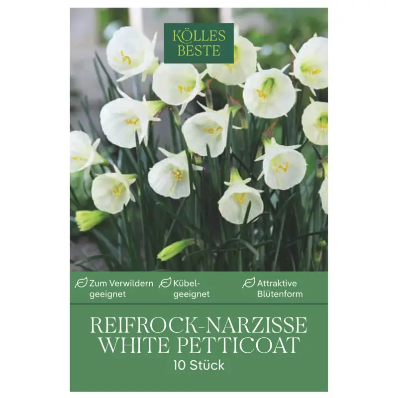 Expressversand Reifrock-Narzisse 'White Petticoat', weiß, 10 Blumenzwiebeln