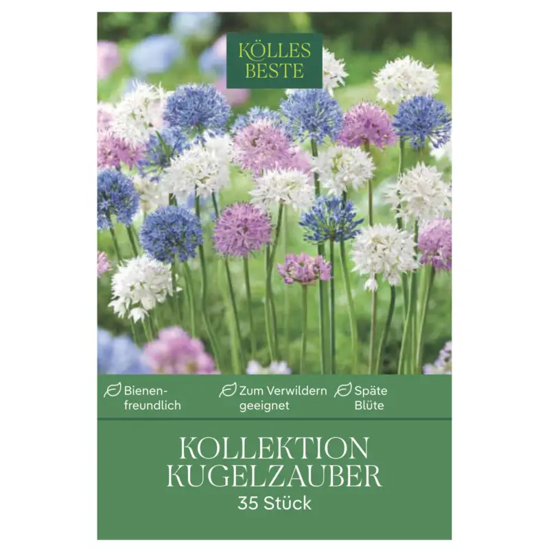Allium-Mischung Kollektion 'Kugelzauber', blau, weiß, rosa, 35 Blumenzwiebeln Wochenendangebot