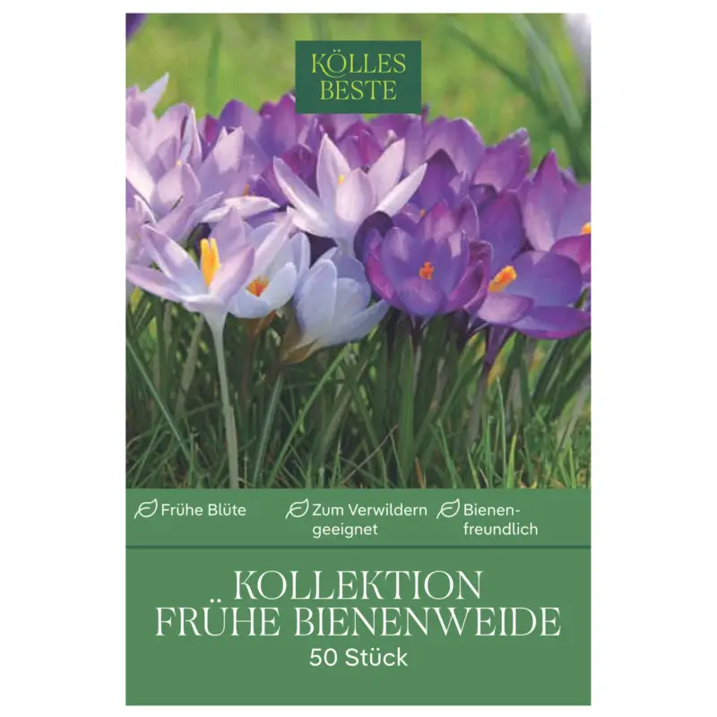 Elfenkrokus-Mischung Kollektion 'Frühe Bienenweide', 50 Blumenzwiebeln Jetzt Kaufen