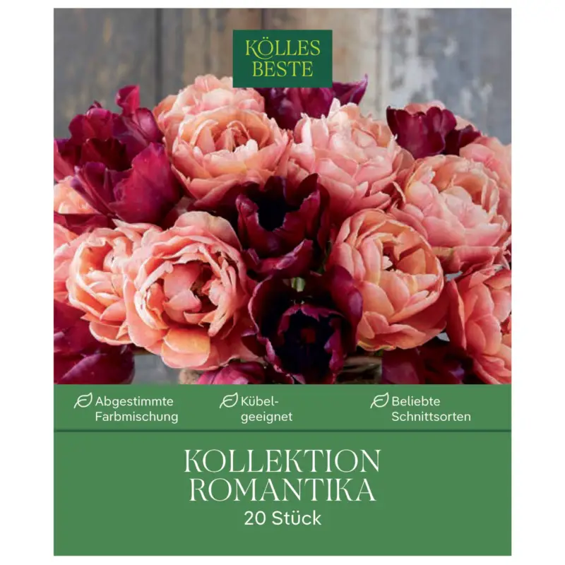 Tulpenmischung Kollektion 'Romantika', 20 Blumenzwiebeln Versand Am Gleichen Tag