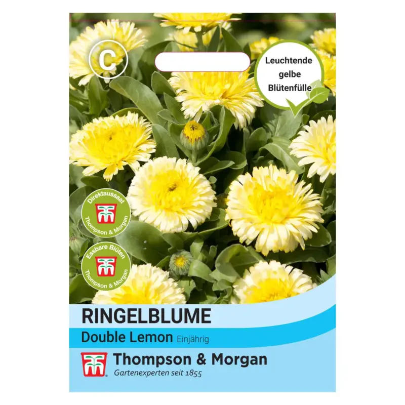 Sichere Zahlung Thompson & Morgen Ringelblume "Double Lemon"