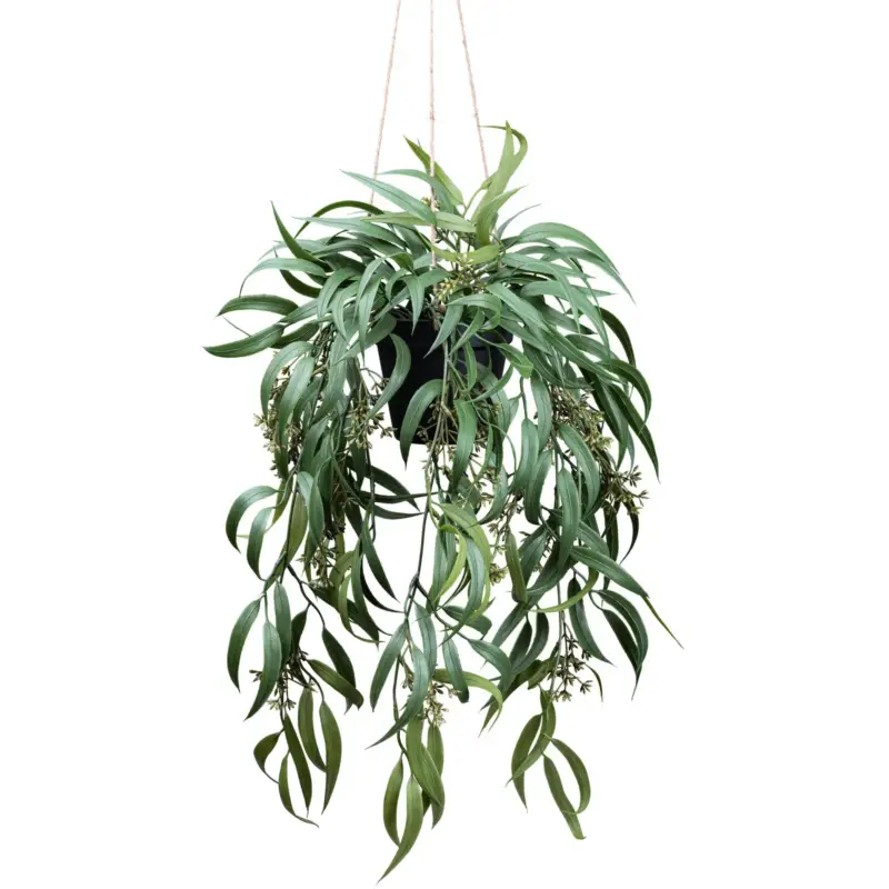Top-Preis Kunstpflanze Eukalyptus globulus, Höhe ca. 65 cm