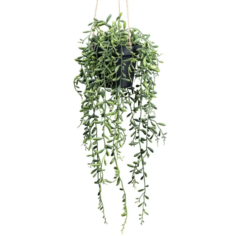 Kunstpflanze Senecio herreianus, Höhe ca. 55 cm Mega-Angebot