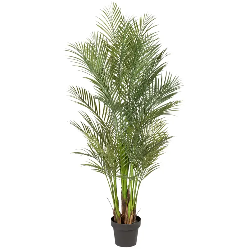 Kunstpflanze Arecapalme, Höhe ca. 160 cm Neu