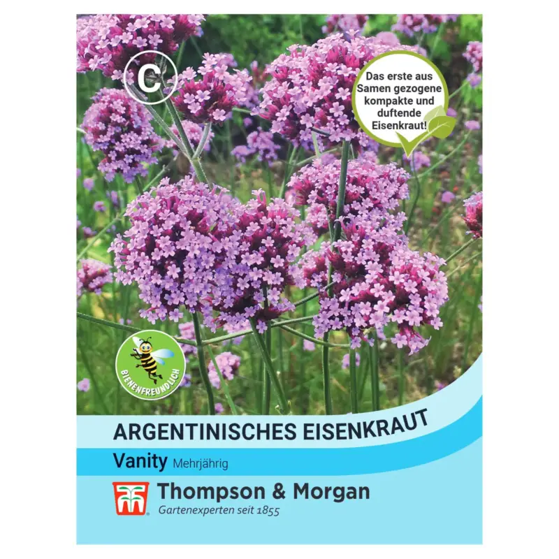 Rabatt Thompson & Morgan Saatgut, Argentinisches Eisenkraut 'Vanity'
