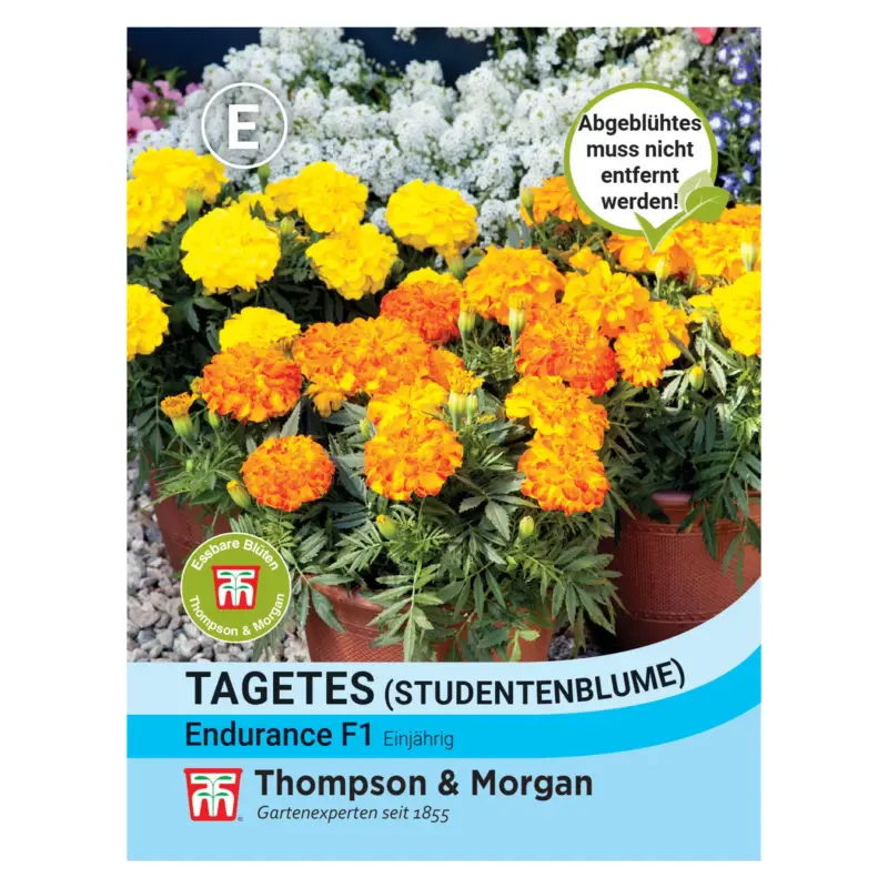 Thompson & Morgan Saatgut, Studentenblume 'Endurance' Markenprodukt