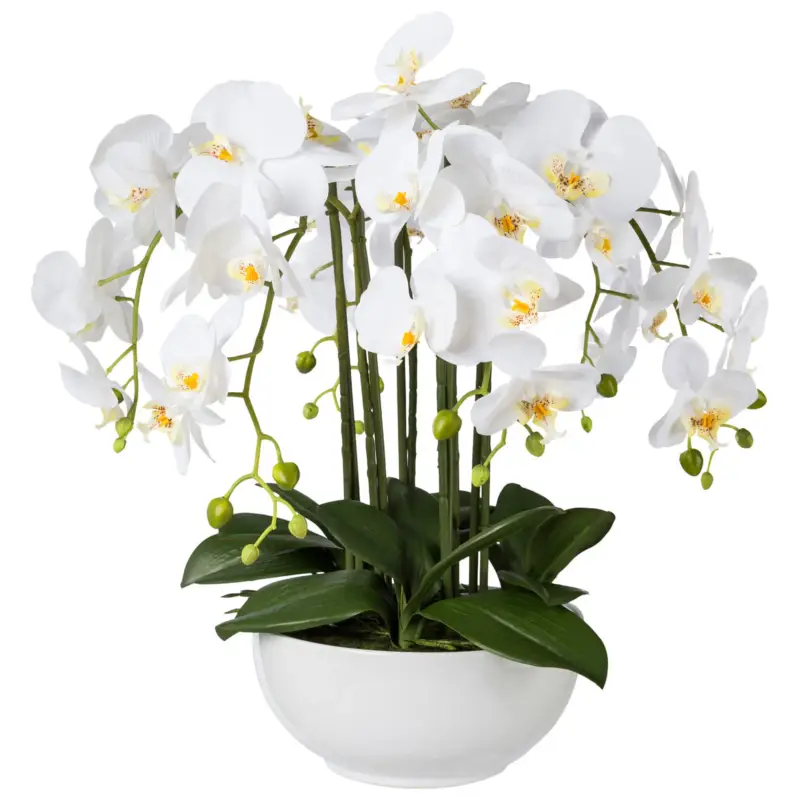 Neuheit Kunstpflanze Phalaenopsis, weiß, Höhe ca. 54 cm