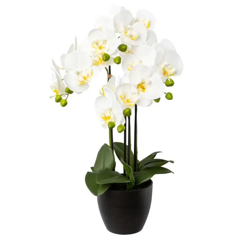 Neu Kunstpflanze Phalaenopsis, weiß, Höhe ca. 55 cm