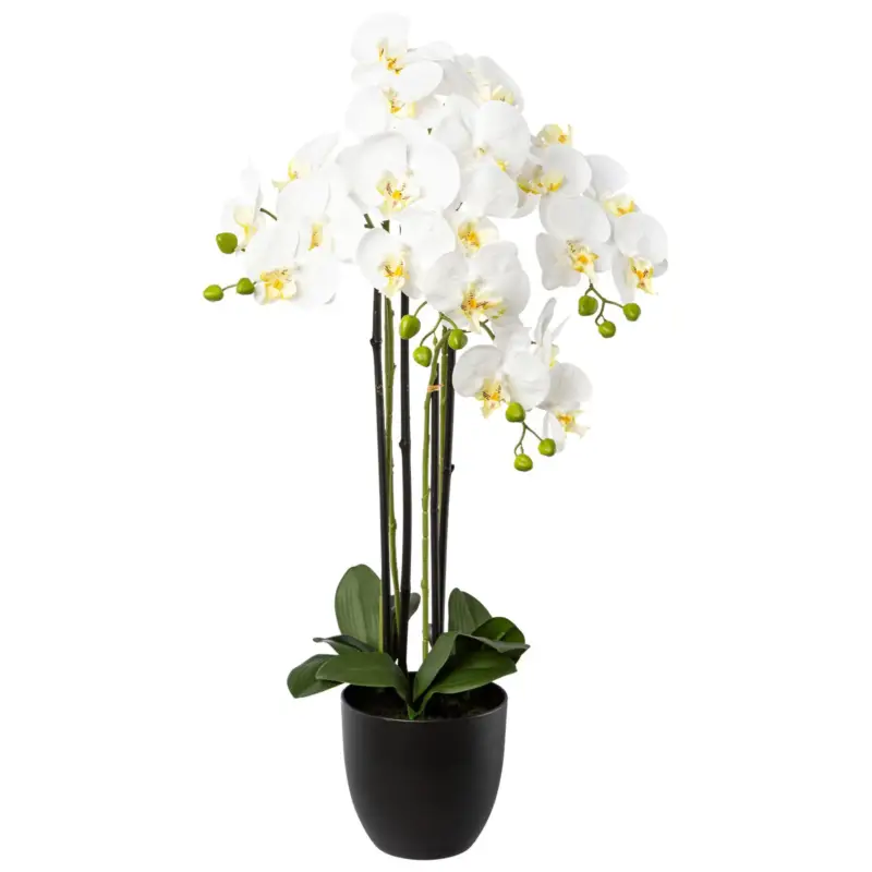 Kunstpflanze Phalaenopsis, weiß, Höhe ca. 83 cm Billig