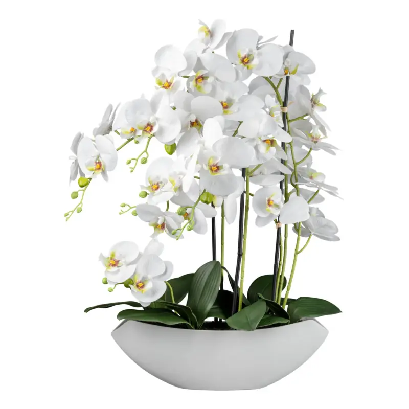 Sonderangebot Kunstpflanze Phalaenopsis, weiß, Höhe ca. 63 cm