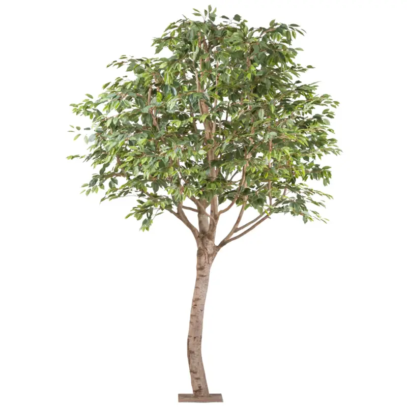 Saisonangebot Kunstpflanze Ficus Benjamina, Höhe ca. 260 cm