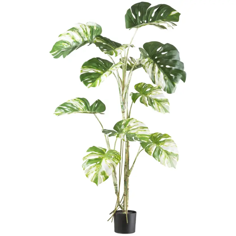 Kunstpflanze Monstera deliciosa variegata, Höhe ca. 160 cm Jetzt Bestellen