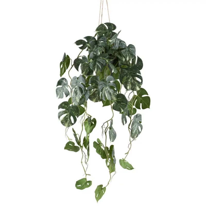 Kunstpflanze Splitphilodendron variegata, Höhe ca. 80 cm Neu