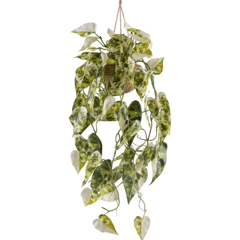 Top-Preis Kunstpflanze Syngonium podophyllum albo variegata, Höhe ca. 80 cm