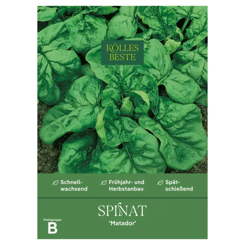 Kölles Beste Gemüsesamen, Spinat "Matador" Top-Angebot