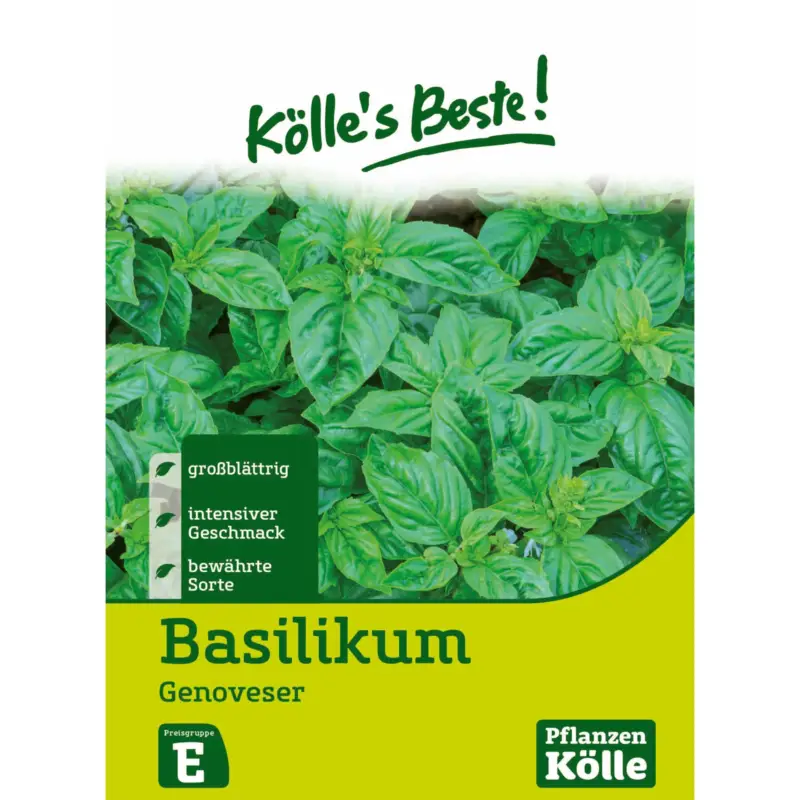 Kölles Beste Kräutersamen Basilikum Genoveser Kracherpreis