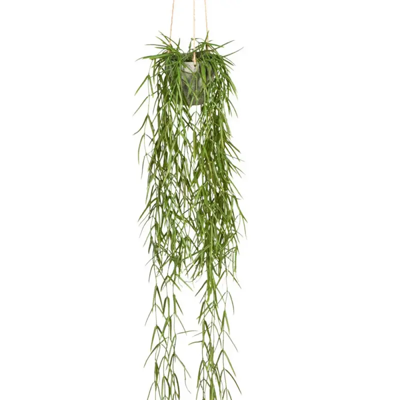 Kunstpflanze Tillandsia, Höhe ca. 90 cm Angebot